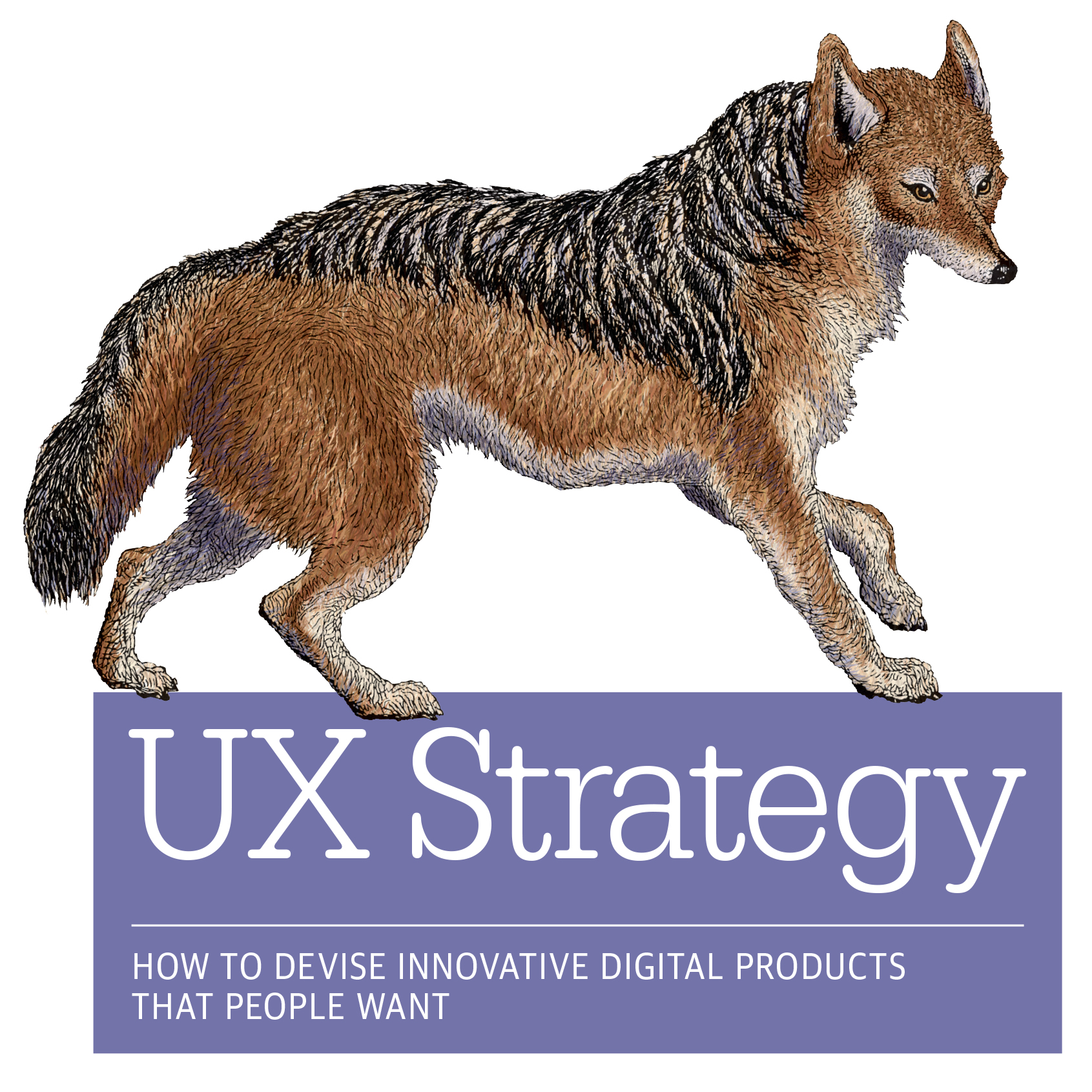 Episode 4 – UX Strategy Book Editing Session with Author Jaime Levy